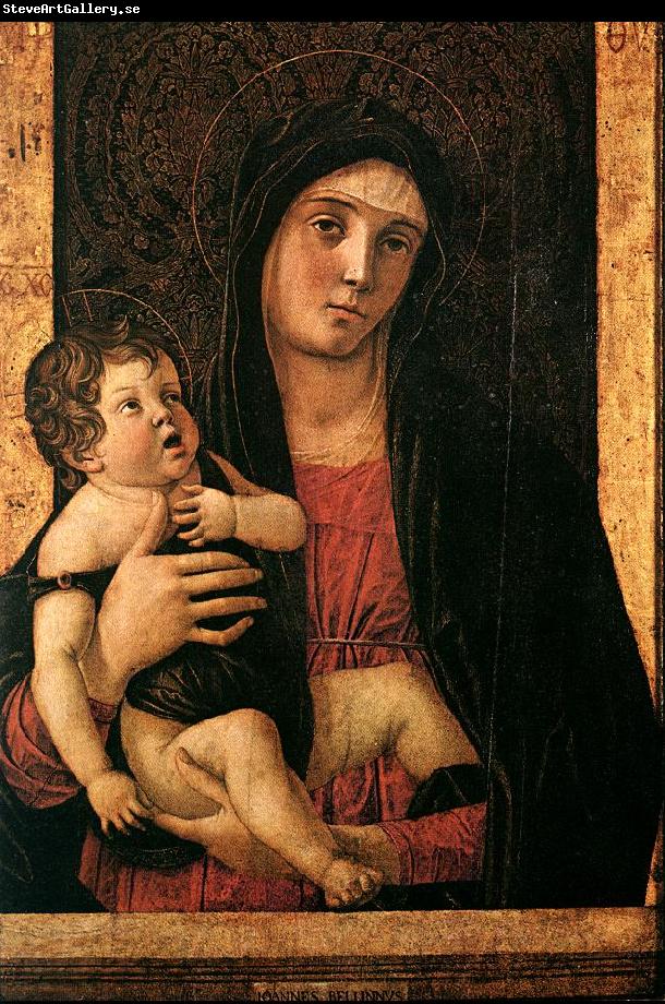 BELLINI, Giovanni Madonna with Child fe5